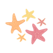 étoile de mer pour la vie doucement